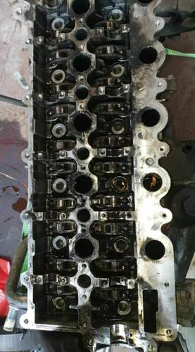 66616557-904453033274961-5296958547404259328-n