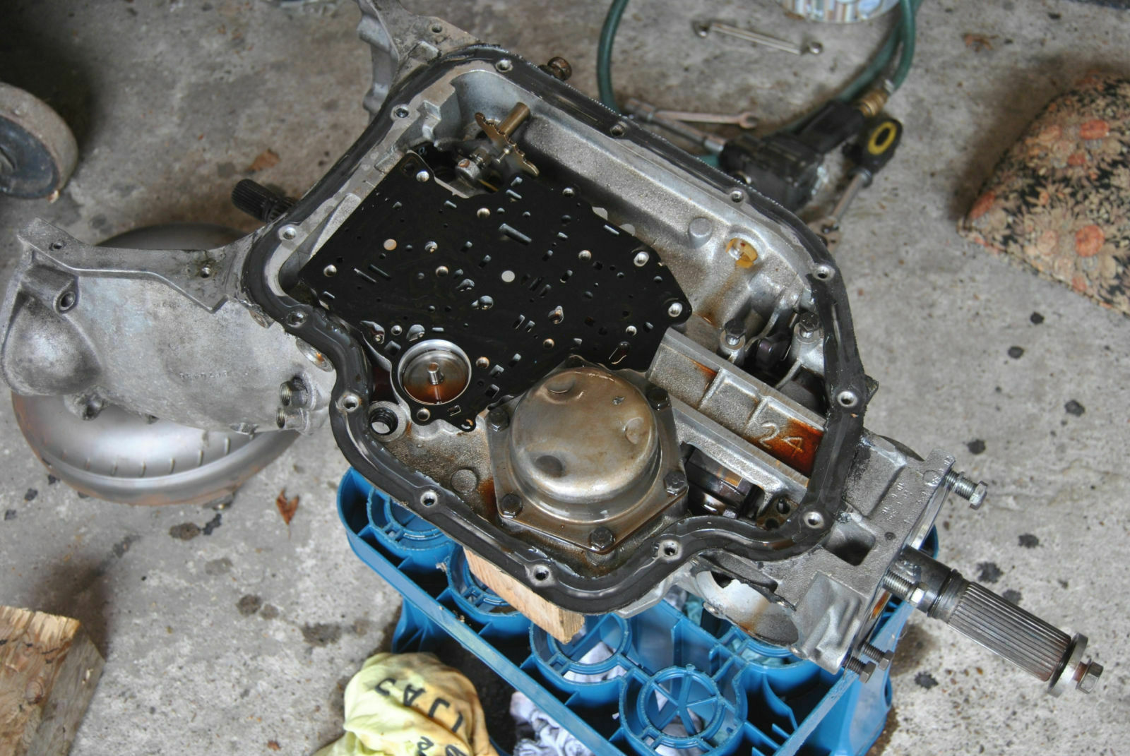 Innereien haltwegs raus