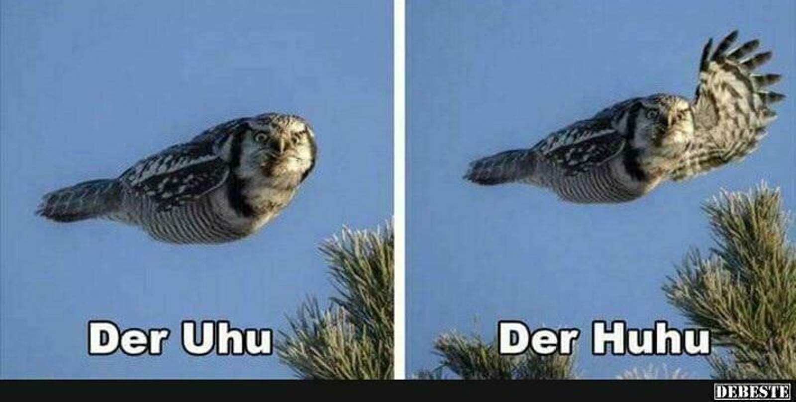 db5e8a779df1960303218f0aeec56bd45583