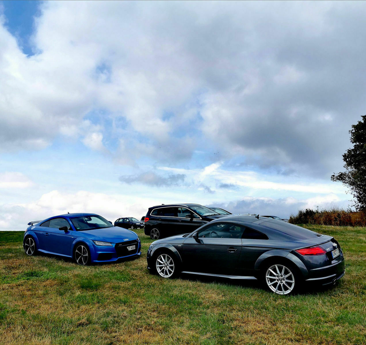 Sammelthread Audi TT/TTS/TTRS Bilder