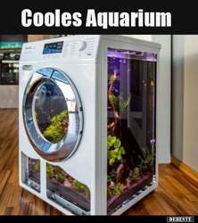 E1229fff055308b95f84edddc98cb4fe7279