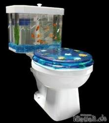 15831-wc-aquarium