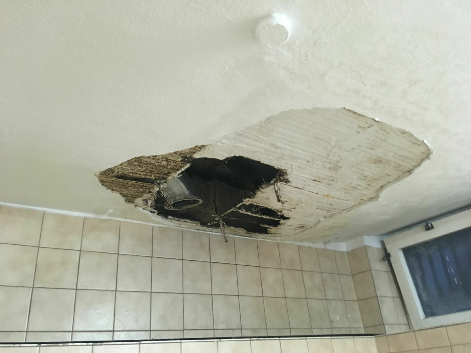 6f1ac389-0e2e-4089-a9e5-8b5008dfab8d