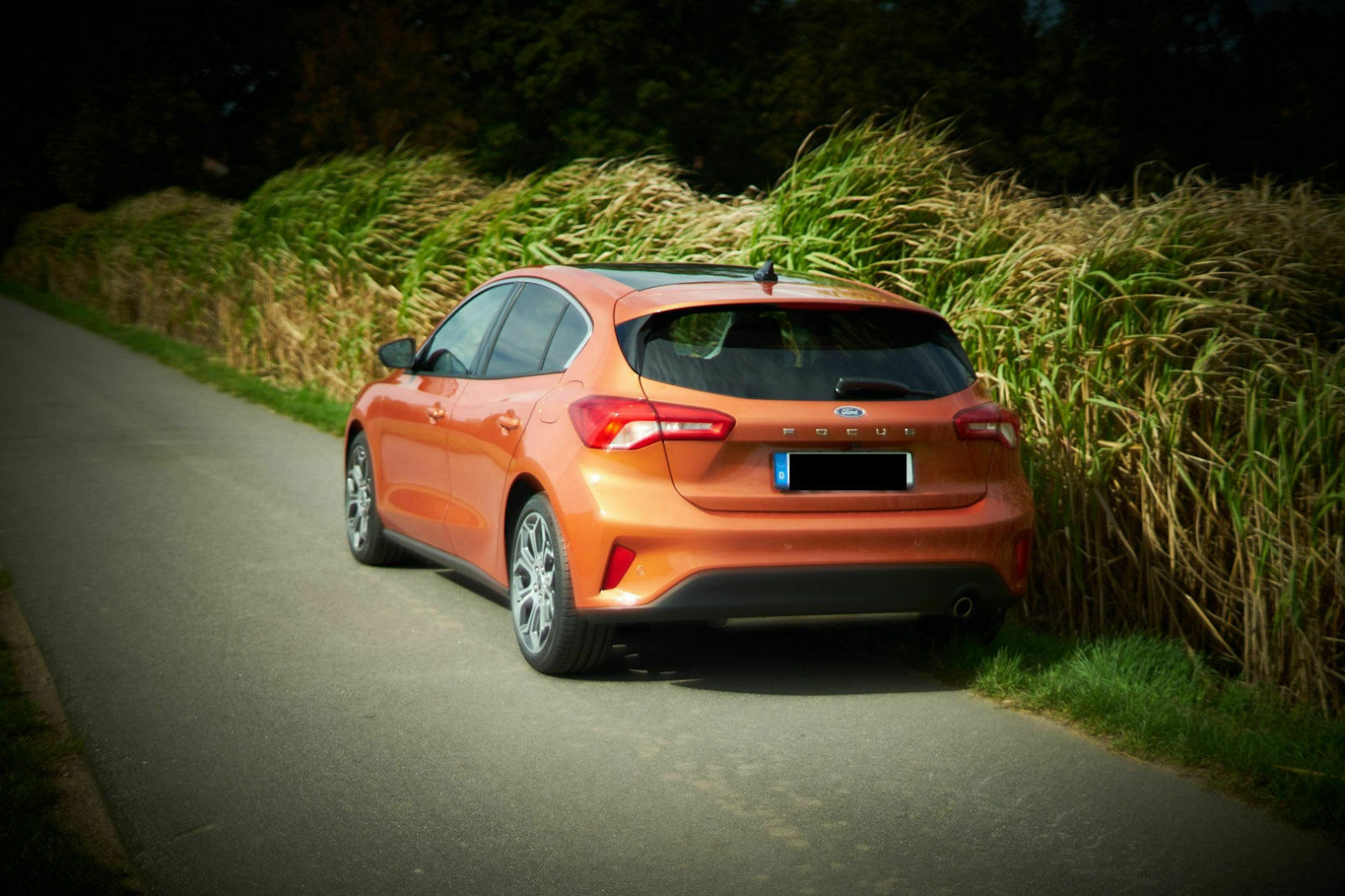 Fotos / Bilder von Eurem FoFo Mk4