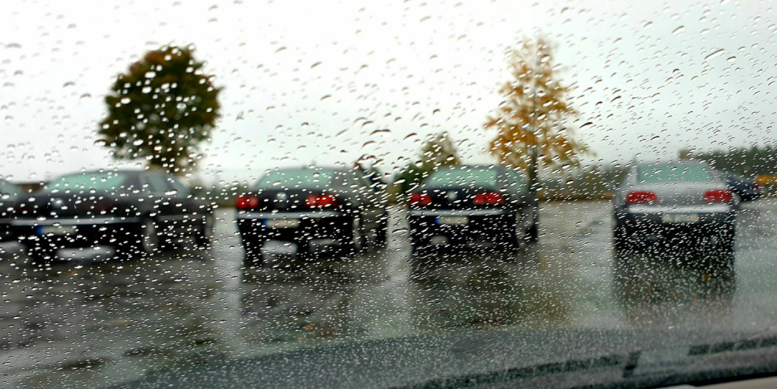 Herbsttour 2019 von Do. 03.10. bis So. 06.10. in Westsachsen