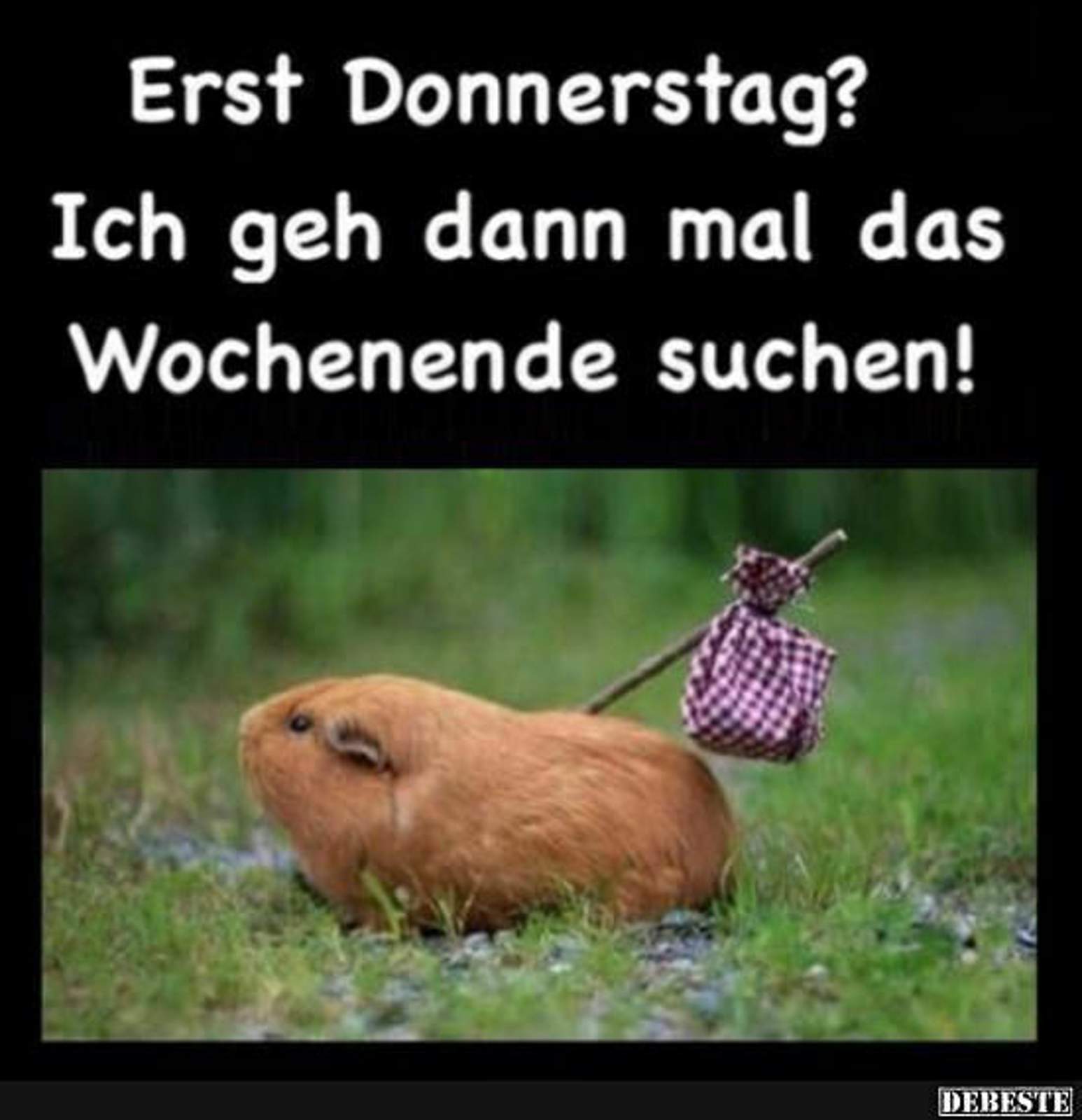 048821597fd1d4ba61fffecefdff20078356