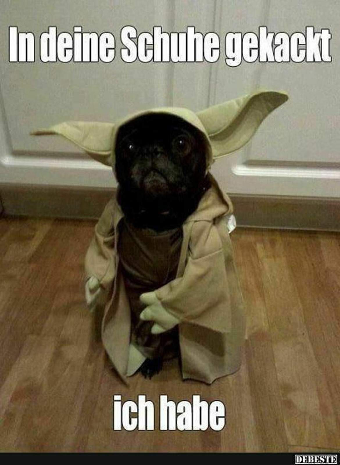 77945786e72c960e040df7d24ead56906167