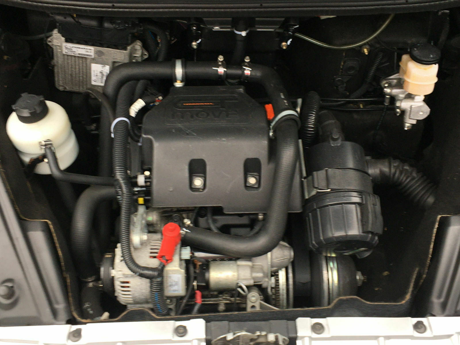 61c172cc-b121-4daa-9c31-241ea877c53e