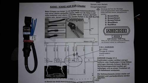 50732318-2119965348313886-5642719722723082240-o