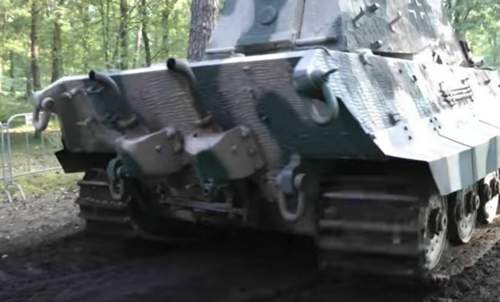 Königstiger Rückseite