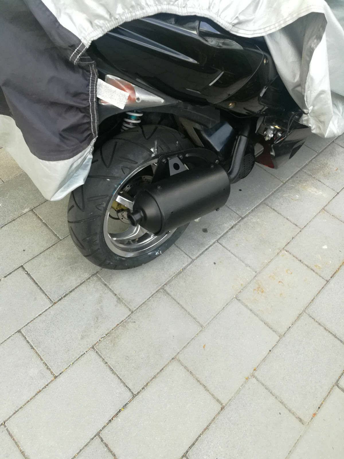 Mein Jugendtraum Speedfight 1 100ccm AC