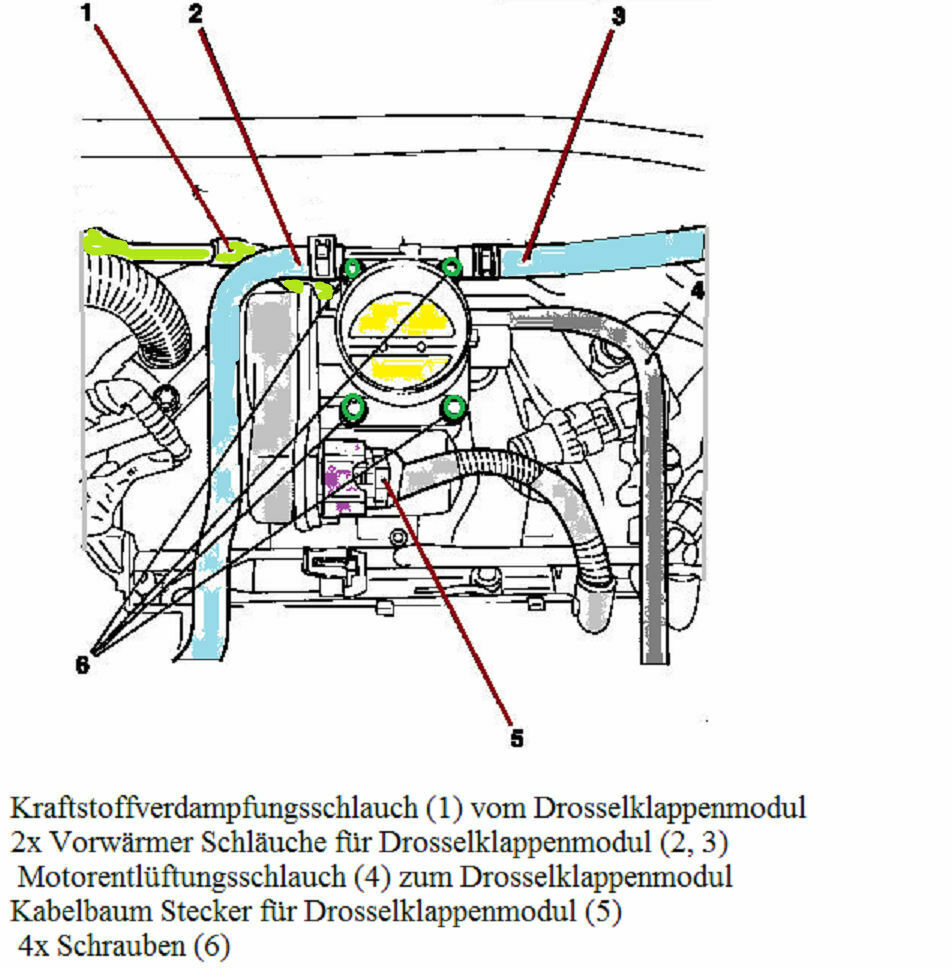 Omega B - Y22XE - Diverse Fehlercodes?