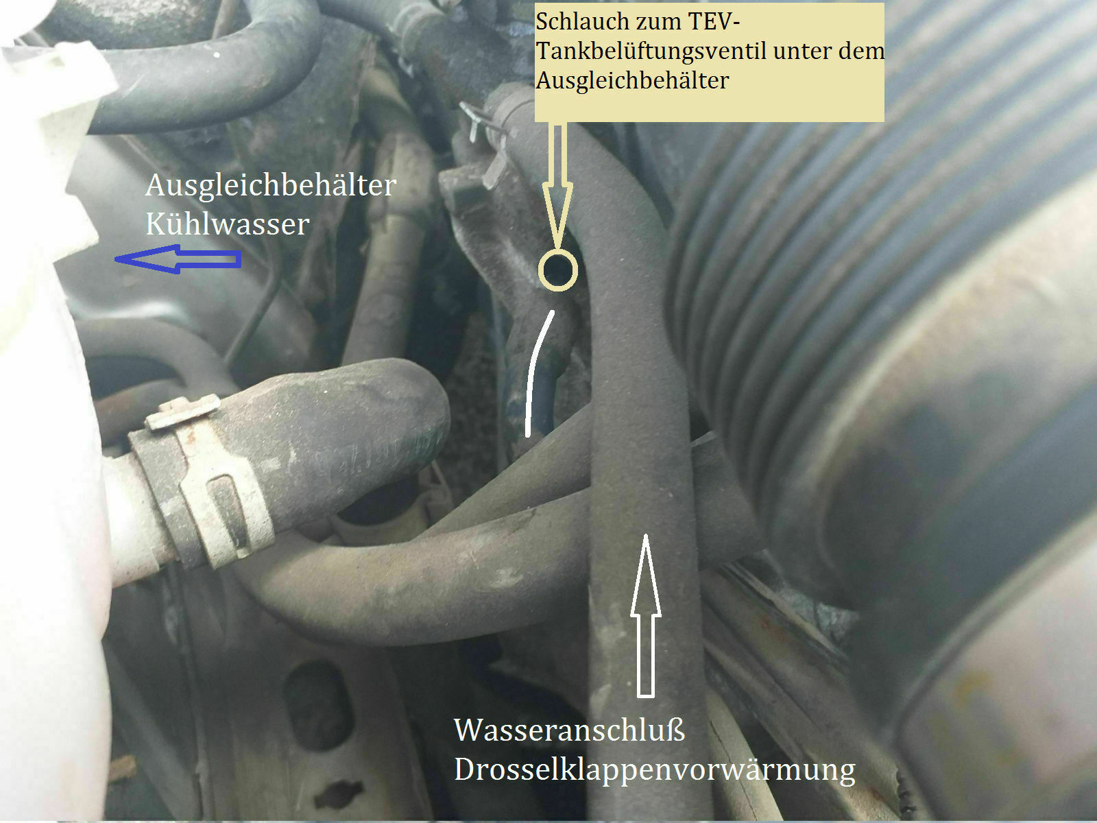 Omega B - Y22XE - Diverse Fehlercodes?