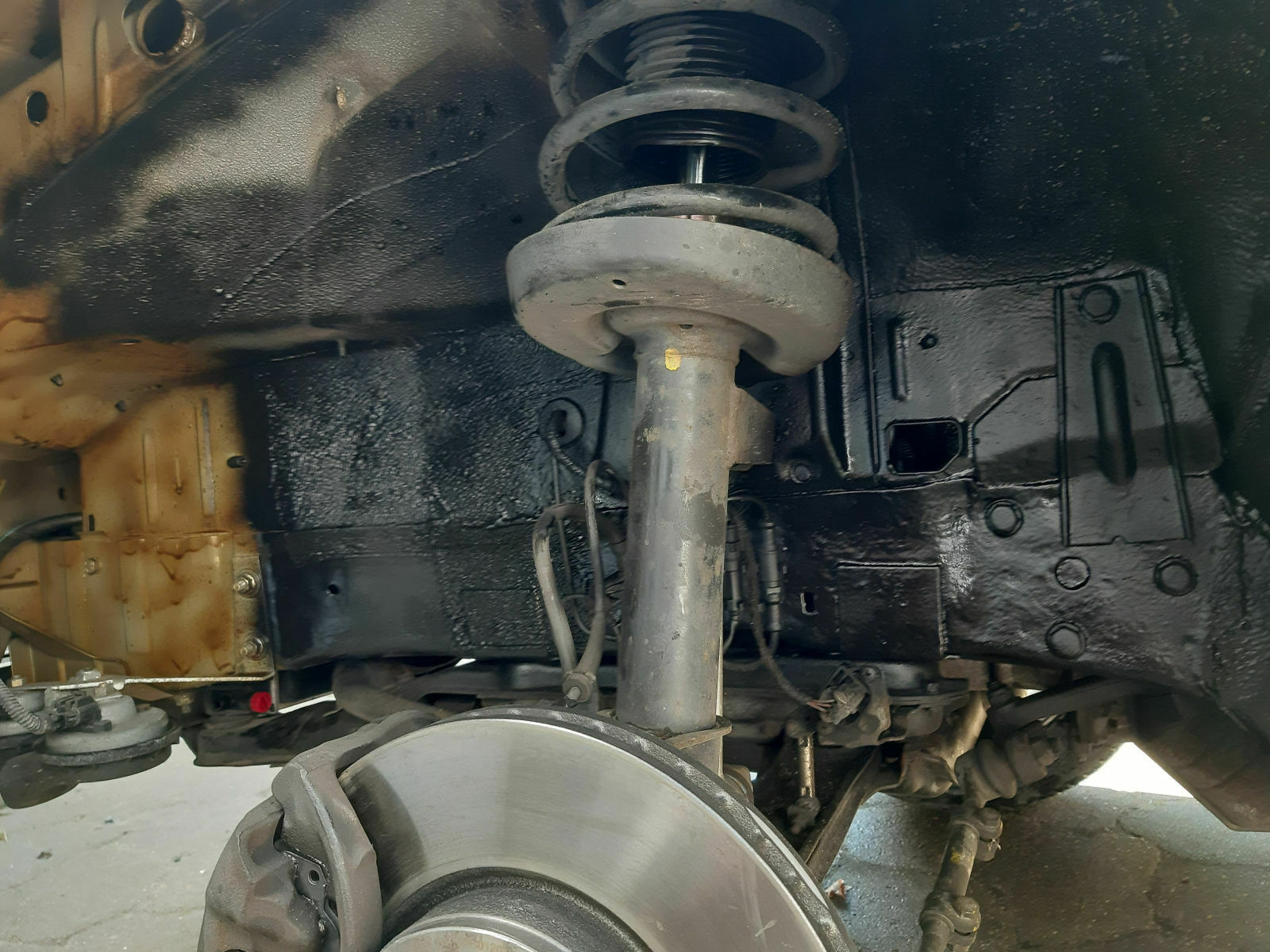 Was habt Ihr heute alles Gutes für Euren Omega & Senator getan?