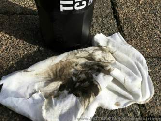 das ist die Verschmutzung nur von der gezeigten Stelle