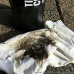 Das ist die Verschmutzung nur von der gezeigten Stelle