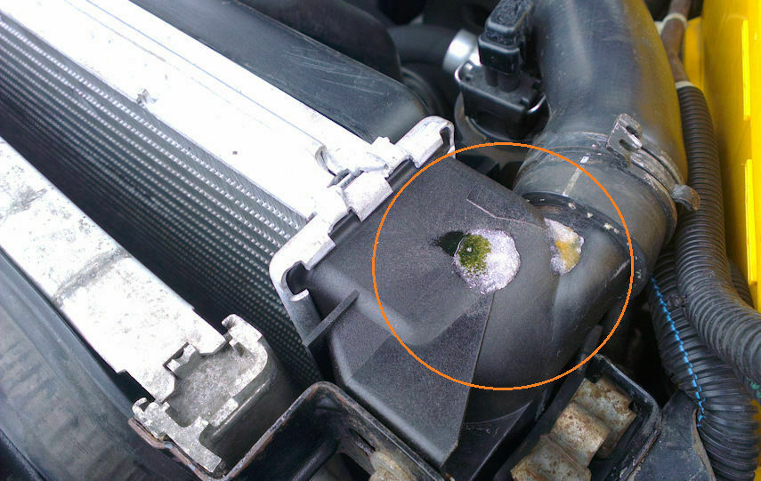 Was habt Ihr heute alles Gutes für Euren Omega & Senator getan?