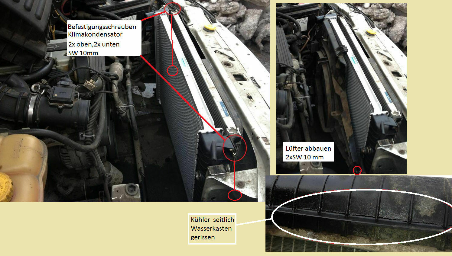 Was habt Ihr heute alles Gutes für Euren Omega & Senator getan?