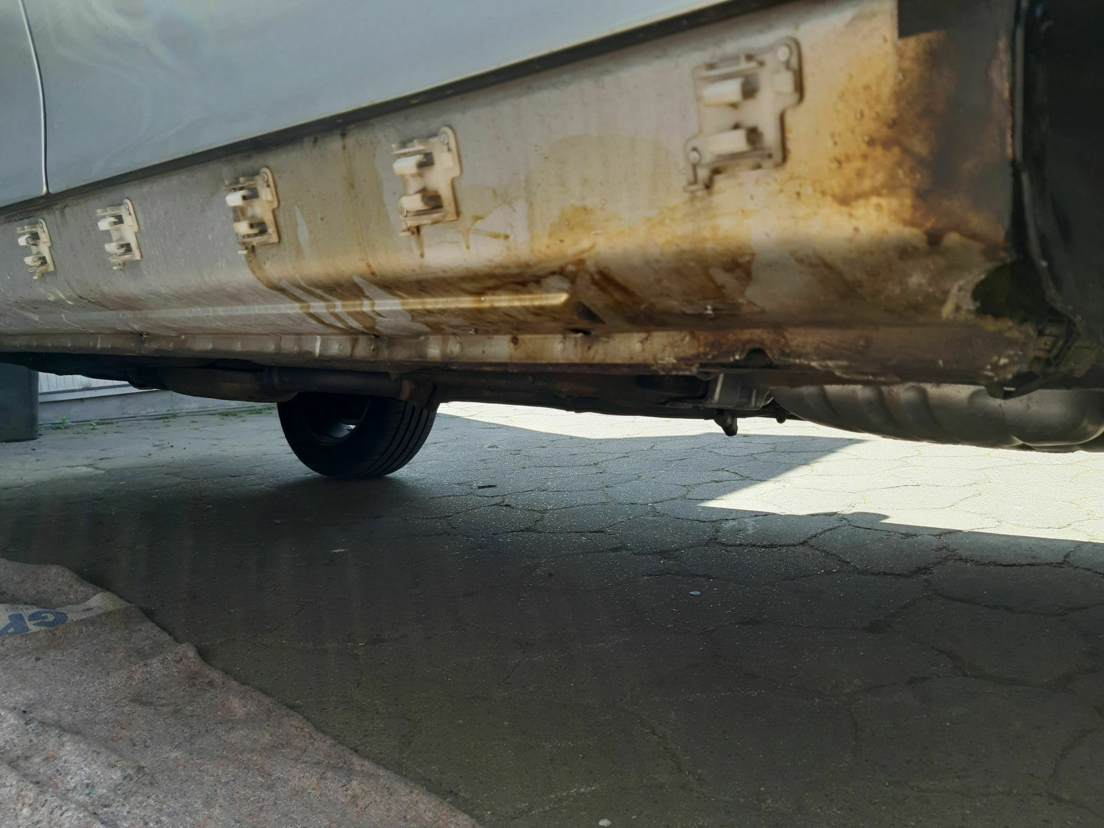 Was habt Ihr heute alles Gutes für Euren Omega & Senator getan?