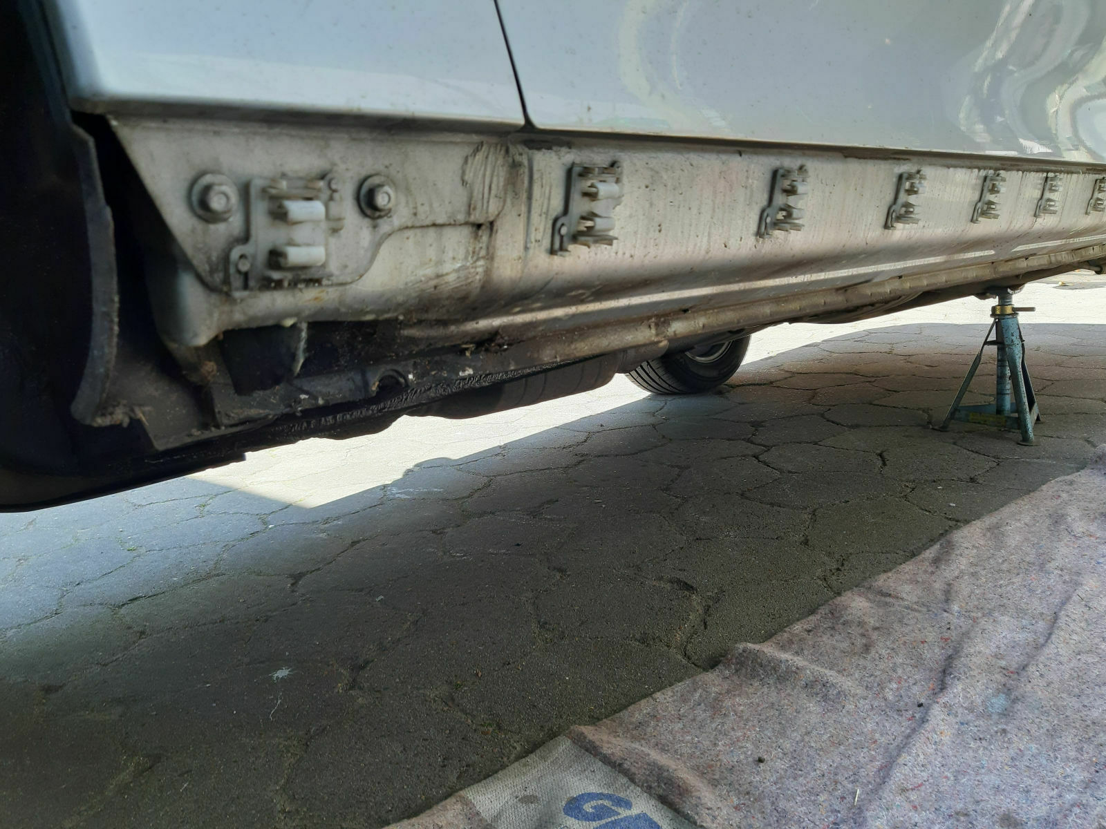 Was habt Ihr heute alles Gutes für Euren Omega & Senator getan?