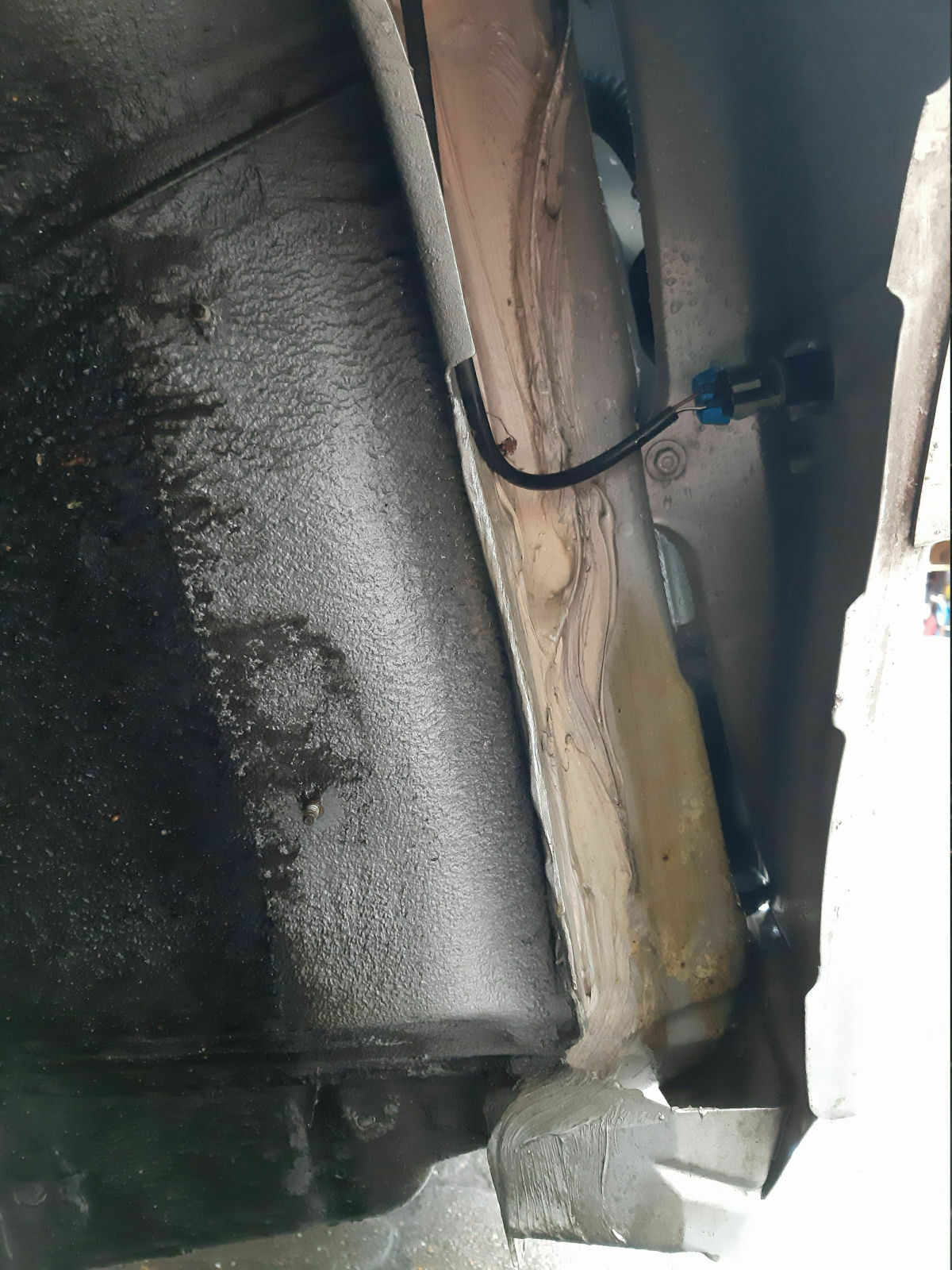 Was habt Ihr heute alles Gutes für Euren Omega & Senator getan?