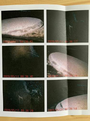 Ablagerungen an Ventilen