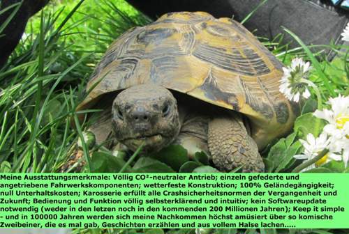 Willi erkärt das mal