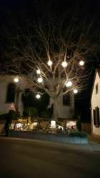 Photo-2019-12-08-08-47