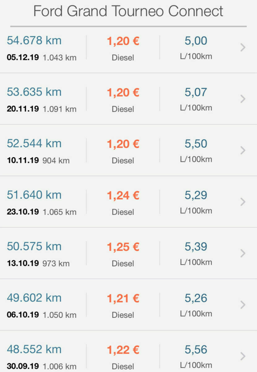 Tourneo Connect Grand als Familienauto?