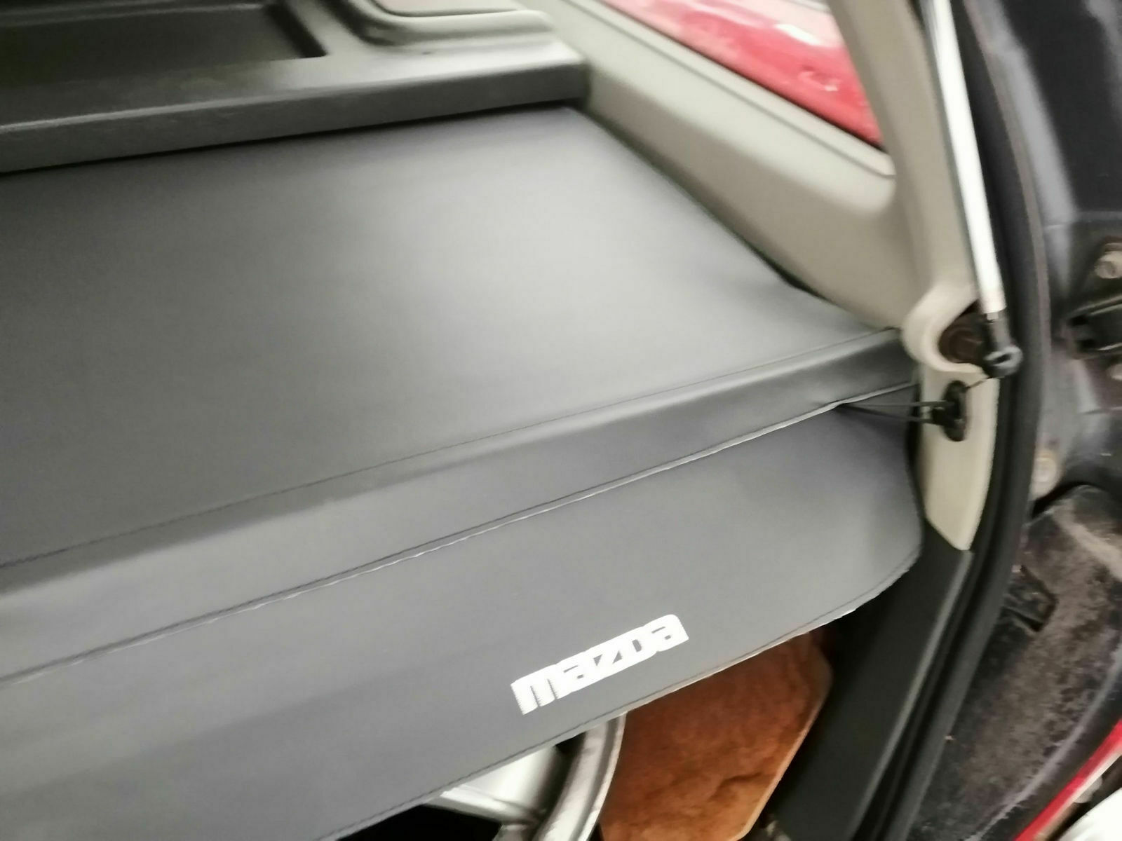 79385670-2833356996697088-991056758589882368-o