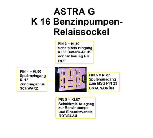Relaissockel-k-16-bp-relais