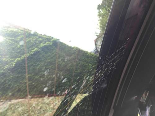 9fd02093-4199-45db-9a95-4d186e7cd2d1