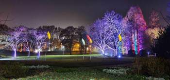 Photo-2020-01-25-16-55