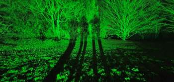 Photo-2020-01-25-16-57