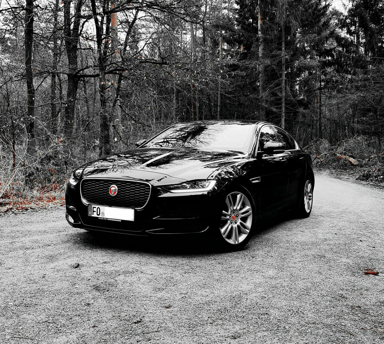 Bilder-Thread - Zeigt Euren XE [Facelift 2020]