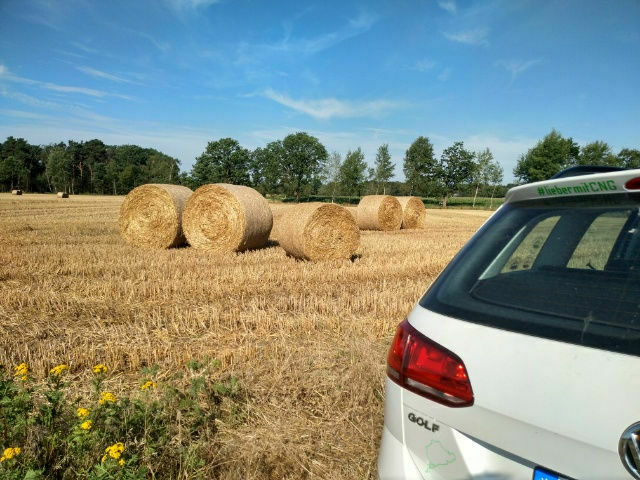 Erfahrungen / Erfahrungsaustausch Golf TGI (der bessere Diesel?!)