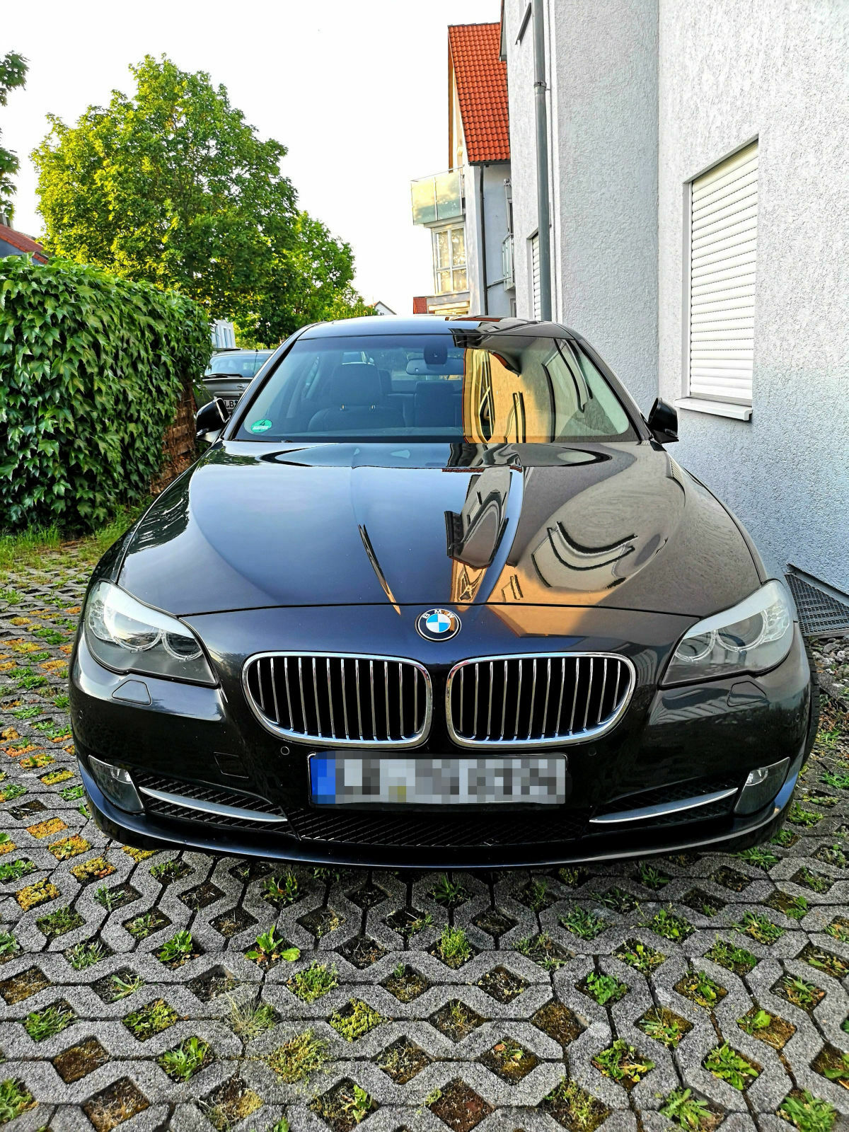 F10 optisch tunen - Grills/Nieren in schwarz - Vorschlag um besser aus zu sehen?