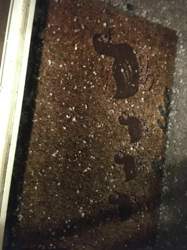 0a4196f9-f4b4-489c-a731-068db9fc216c