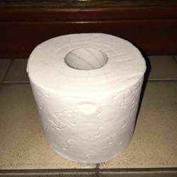 89918646-10219978603434140-5115537260510445568-o