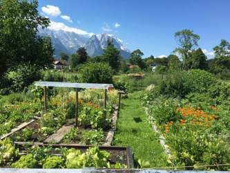 47c50d28-8459-43e9-875c-f2c8d03be919