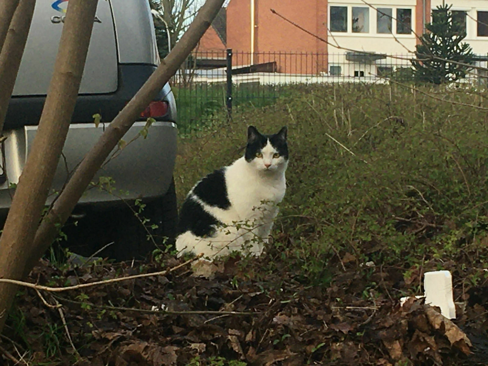 5e4c52d5-93f8-446c-82ad-05da079368be