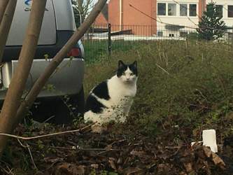 5e4c52d5-93f8-446c-82ad-05da079368be