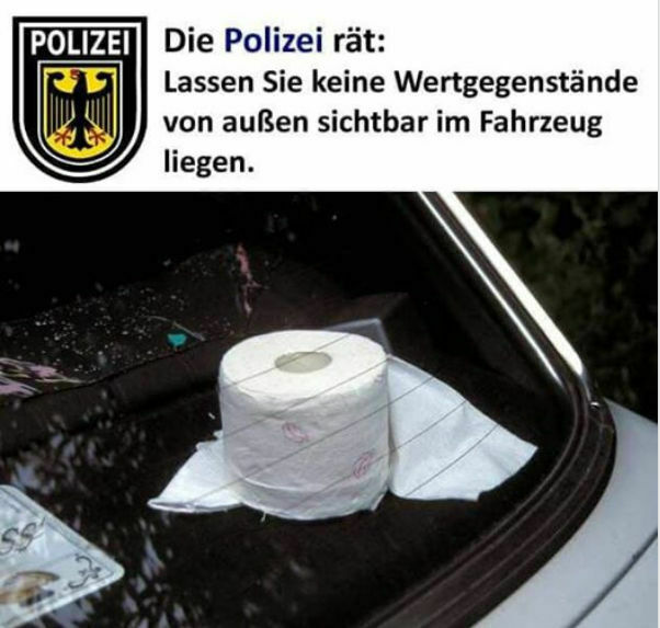 Bitte um Infos zum 250TD - 1. Bauserie