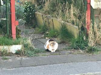 08ec9f02-af8b-478e-8a74-39132cae5556