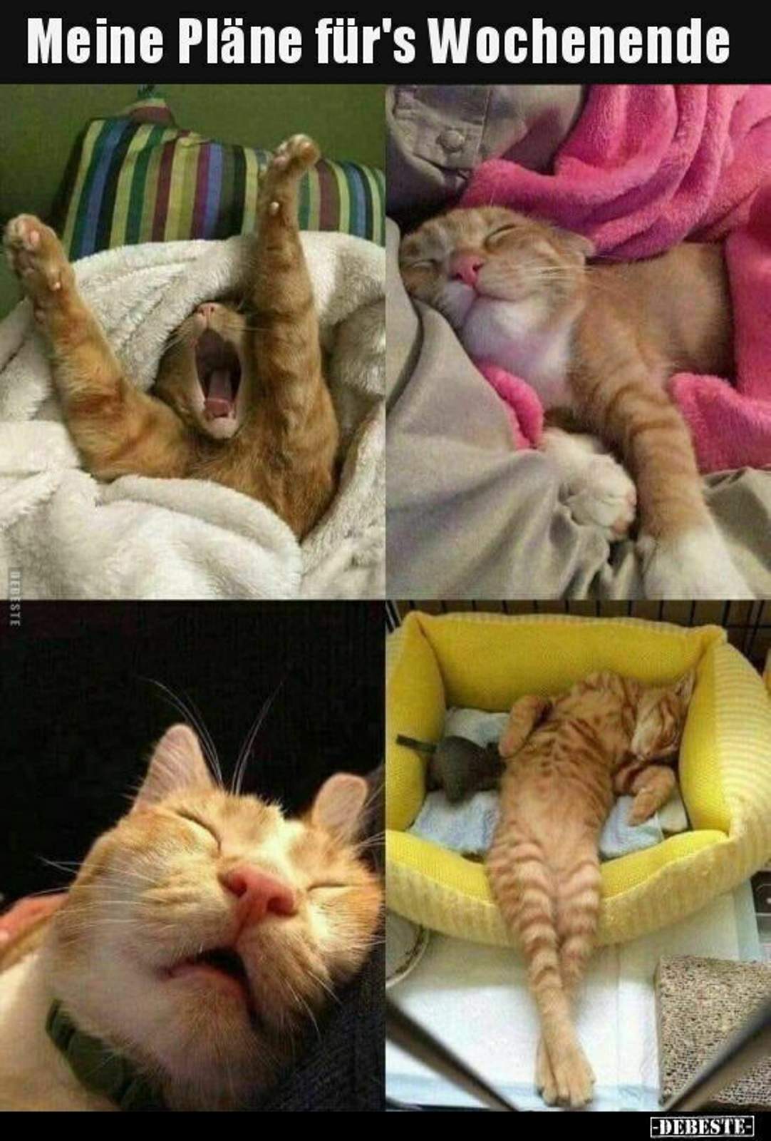 734cb16aa2b1ba3716b2402409c5e5605982