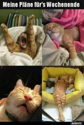 734cb16aa2b1ba3716b2402409c5e5605982