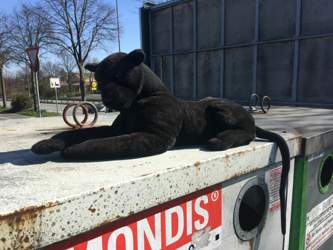 973ac6e5-b62b-4c33-b0da-a2f95ca649ad