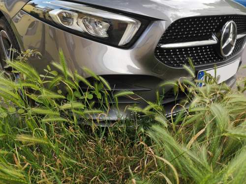 Front_Kennzeichen geschw?rzt.jpg