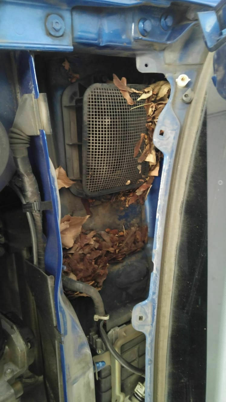 Wer baut mir einen VR 6 in Golf 3 Cabrio?