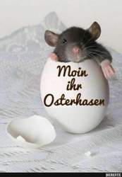 354f86b28d0d5fe388f3d89a6040b6e71938